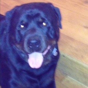 Meet your Posher, Ruth